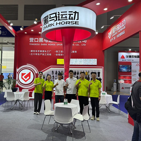 Dark Horse Sport in Exhibition