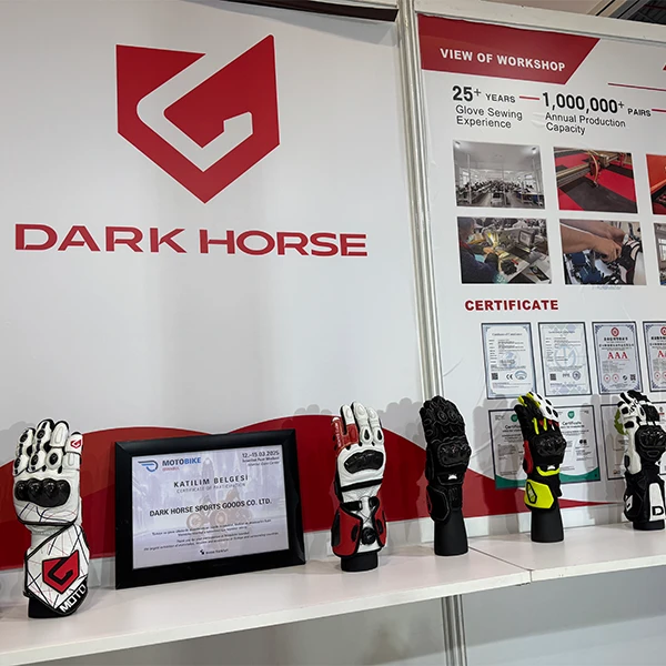 Dark Horse in Exhibition