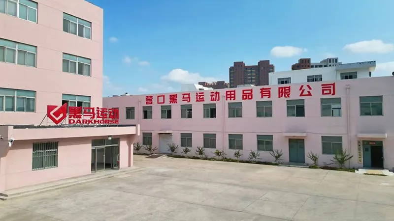 Outside view of the Drak Horse Factory